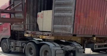 宁德 黄金麻荔枝面毛板