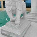 宁德 白麻花岗岩动物异形石雕-大象