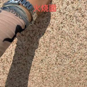 宁德黄金麻火烧面