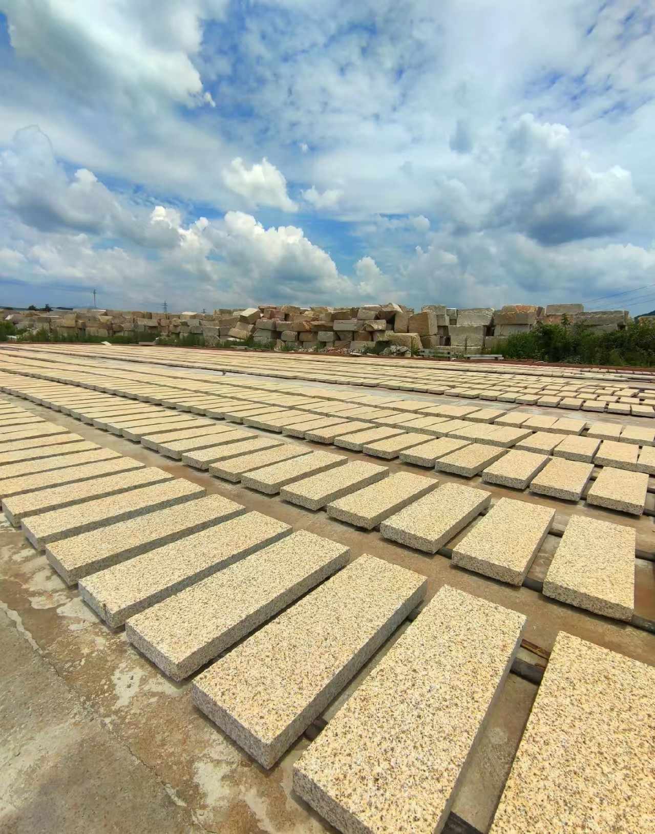 宁德 黄金麻荔枝面花岗岩石材地铺石防护中