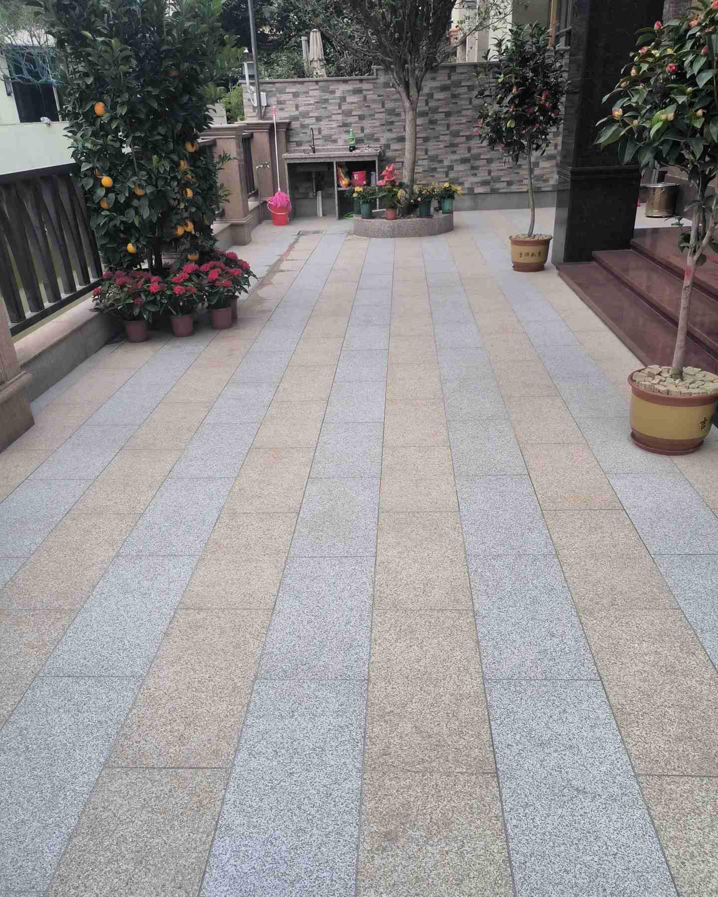 宁德 黄金麻白麻荔枝面庭院铺装展示